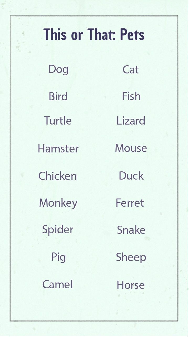 this or that pets word list