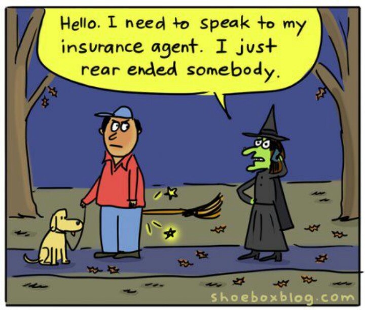 a cartoon with a witch and a dog talking to each other