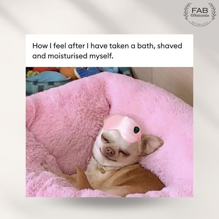 a dog laying on top of a pink bed