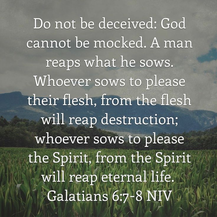 a field with grass and the words do not be deceived god cannot be mocked