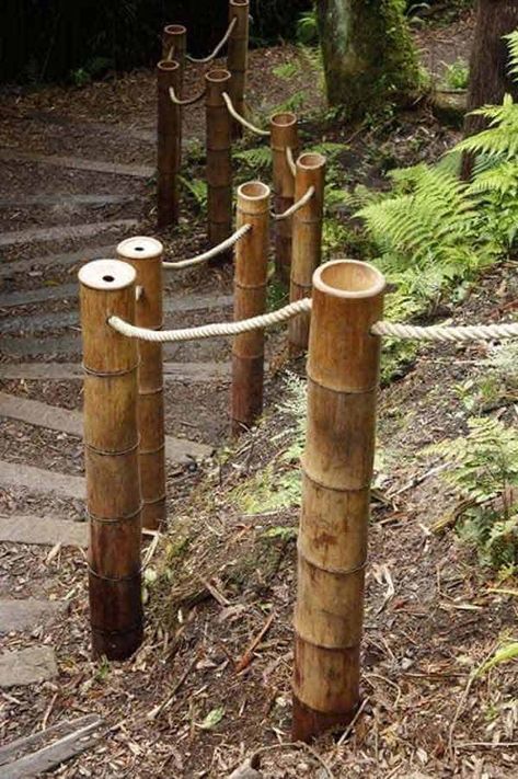 some kind of rope that is attached to wooden posts in the woods with trees and plants behind it