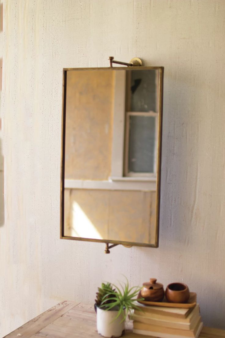 a mirror hanging on the wall next to a potted plant