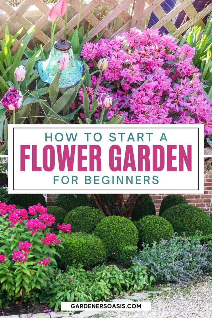 a garden with pink flowers and green bushes in the foreground, text overlay reads how to start flower garden for beginners