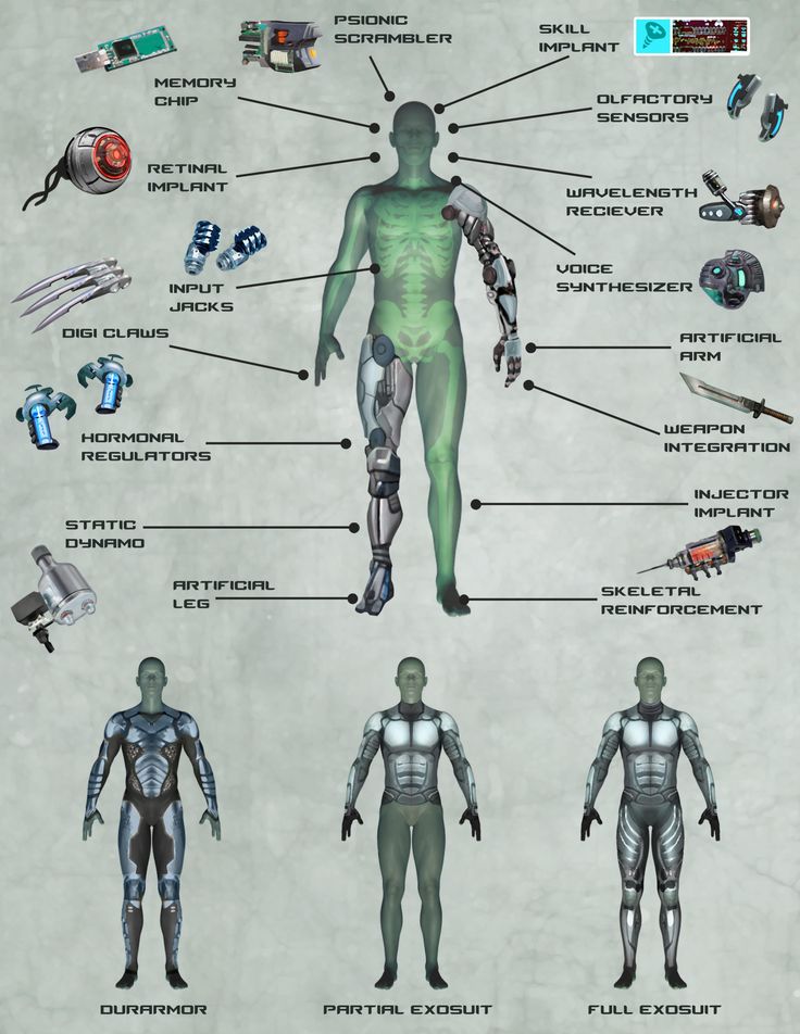 an image of the human body with all its parts labeled in it's description