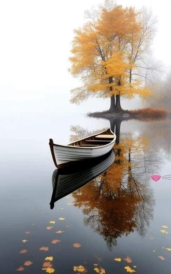 a boat floating on top of a body of water next to a tree with yellow leaves