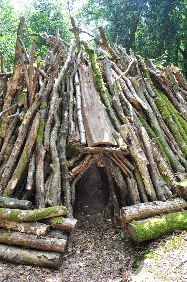 Den in the woods idea (cant wait to have the woods in the backgarden) Outdoor Forts, Primitive Houses, Bushcraft Shelter, Tree Fort, Bushcraft Skills, Bushcraft Camping, Survival Shelter, Wilderness Survival, Camping Survival