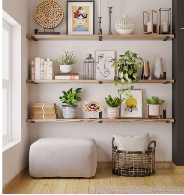 the shelves in this room are filled with plants and other things to put on them