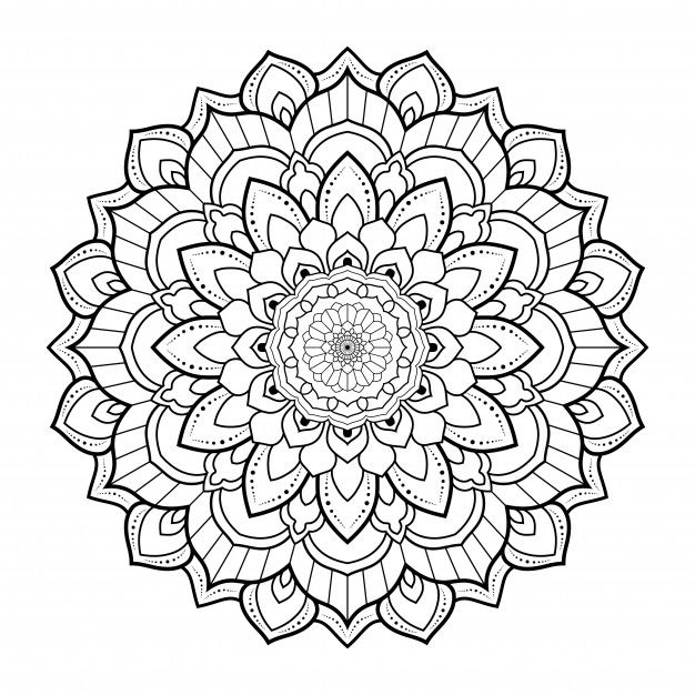 a black and white drawing of a flower with lots of leaves on it's petals