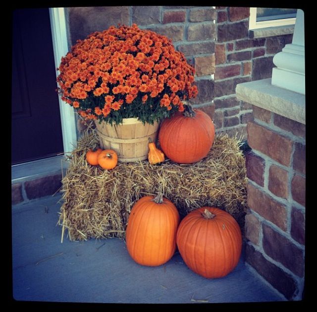 some pumpkins and flowers are sitting on hay