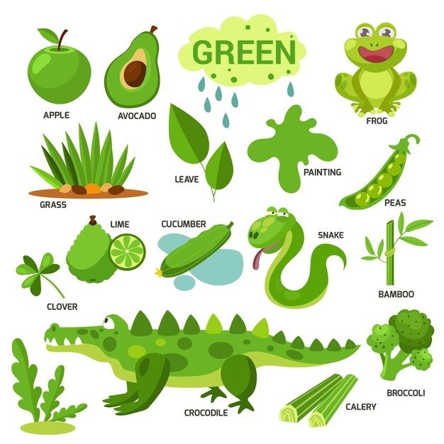 an image of green animals and plants