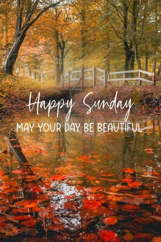 the words happy sunday may your day be beautiful on a background of leaves and trees