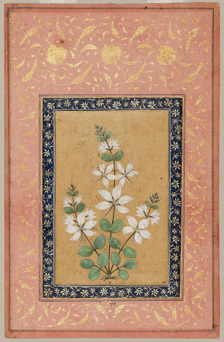 a painting with white flowers and green leaves on a pink background, framed in gold foil