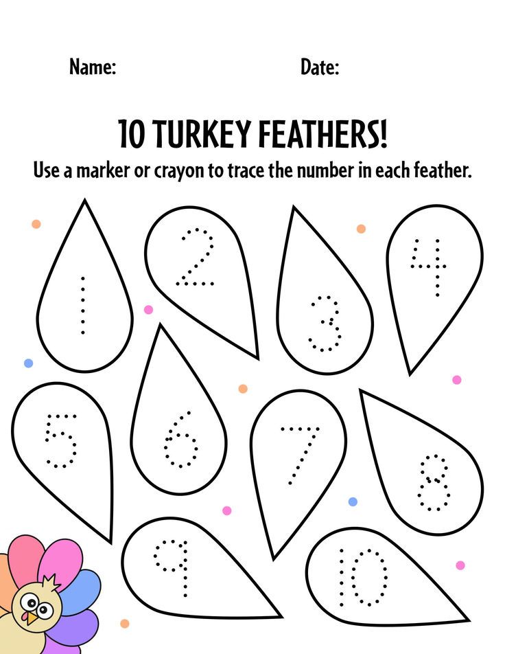 the turkey feathers worksheet for children to learn numbers and counting with this printable activity