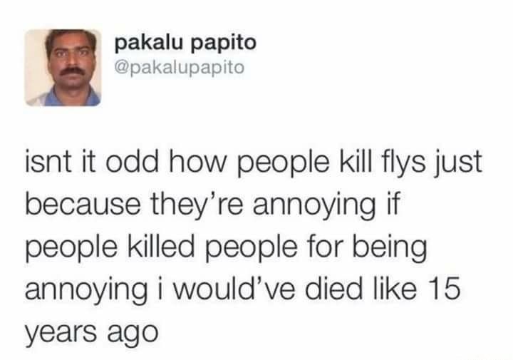 a tweet that reads, i isn't odd how people kill flys just because they're annoying if people killed people for being annoying i would'verd