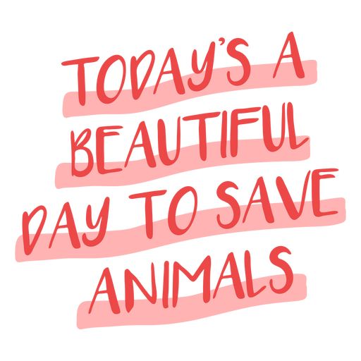 Beautiful day to save animals veterinarian quote PNG Design Veterinary Motivational Quotes, Vet Quotes Motivation, Vet Med Quotes, Vetranarian Aesthetic, Veterinary Quotes, Veterinary Technician Quotes, Veterinary Medicine Quotes, Save Animals Quotes, Vet Quotes