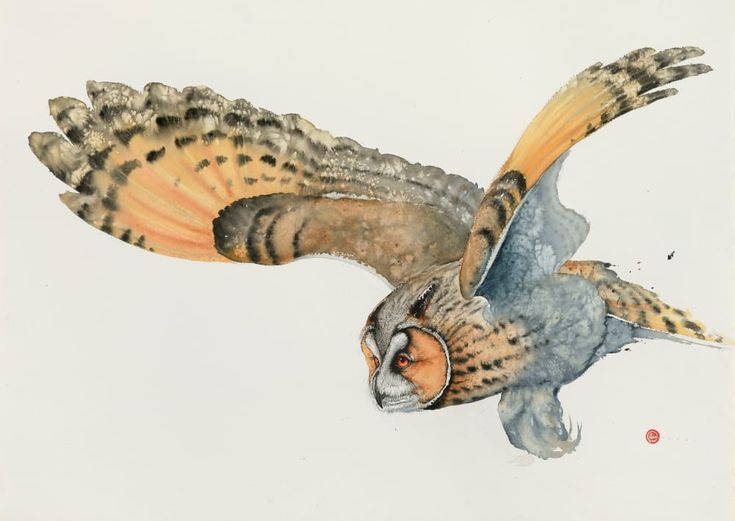 an owl flying in the air with its wings spread