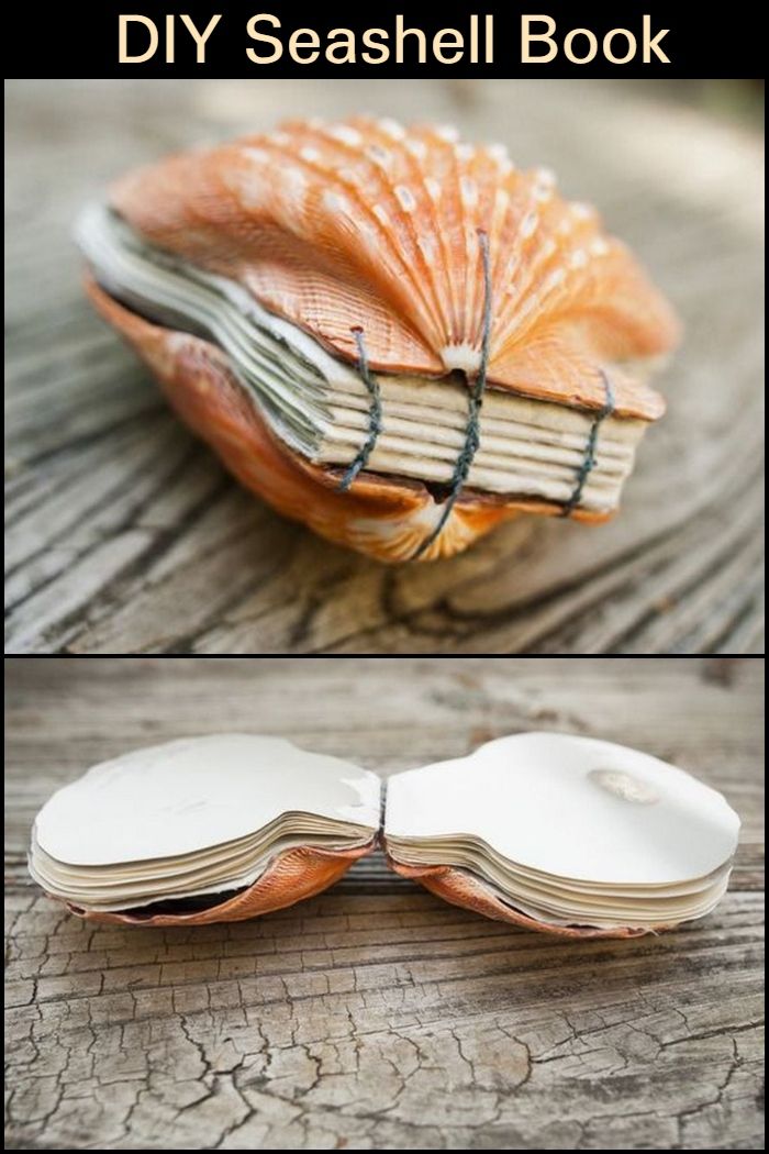 an open book sitting on top of a wooden table next to a seashell shaped book