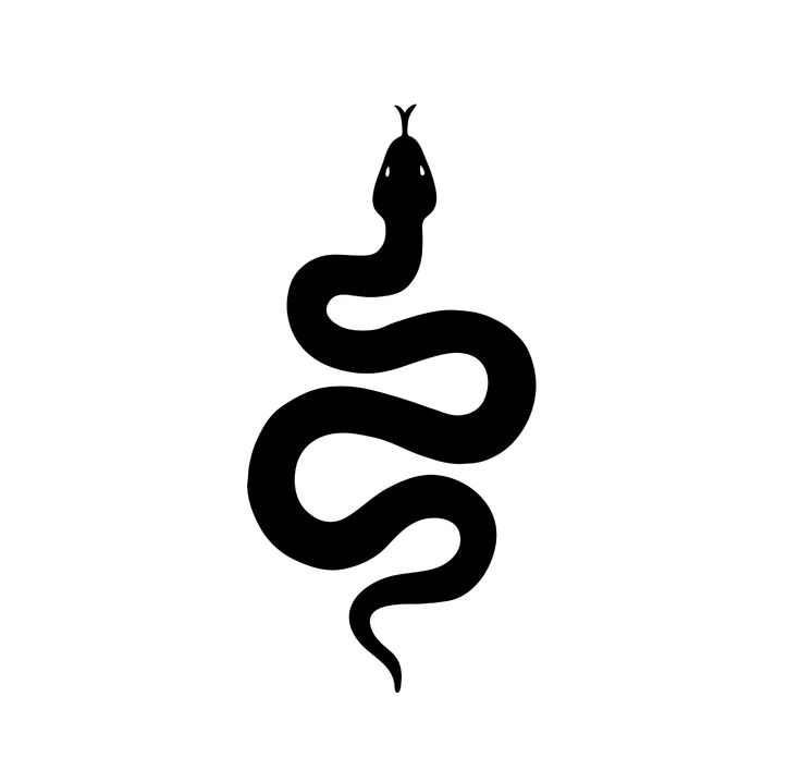 a black and white image of a snake with its head in the shape of a ball