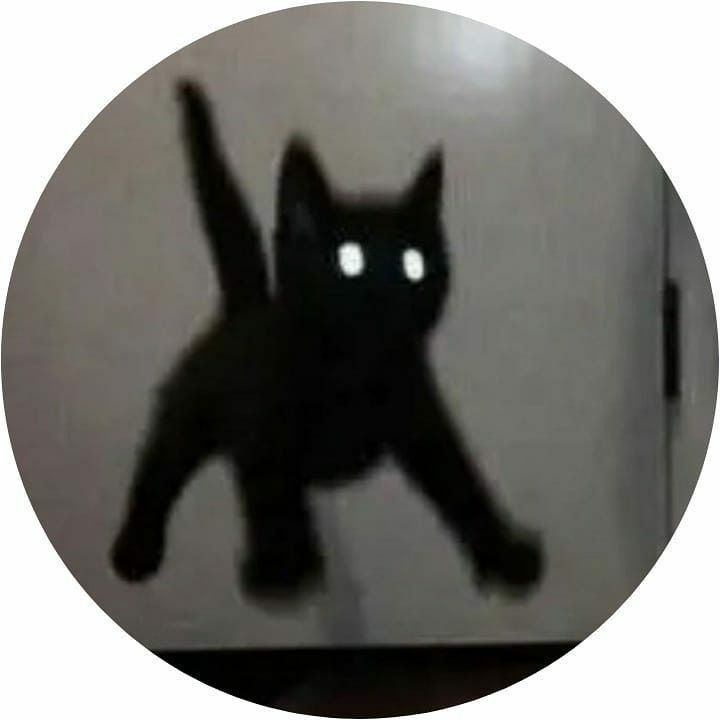 a black cat with glowing eyes is in the middle of a circular photo that appears to be blurry