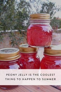 four jars filled with red liquid sitting on top of a table