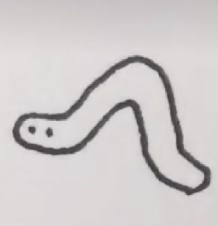 a black and white drawing of a worm