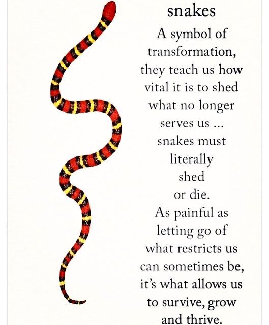 a poem with a snake on it and the words snakes are in red, yellow, and black