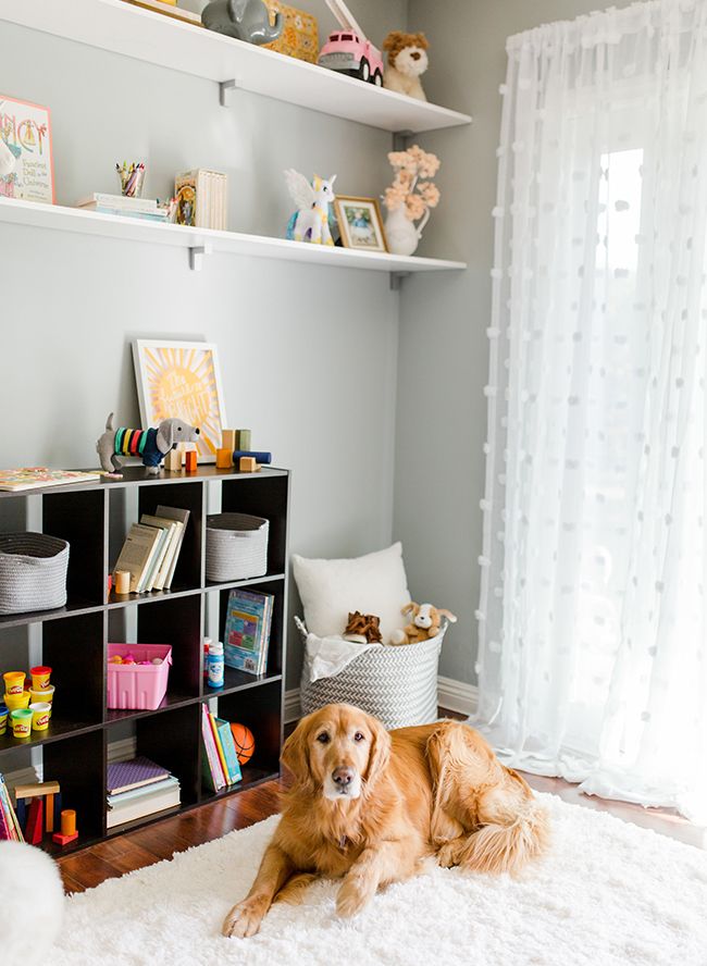 a brown dog laying on top of a white rug in a living room next to a book shelf