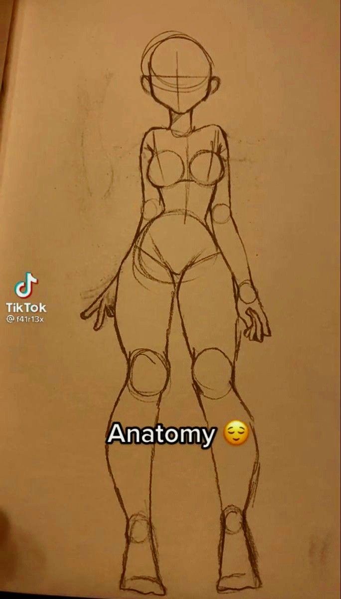 a drawing of a female figure with the words anatomy on it