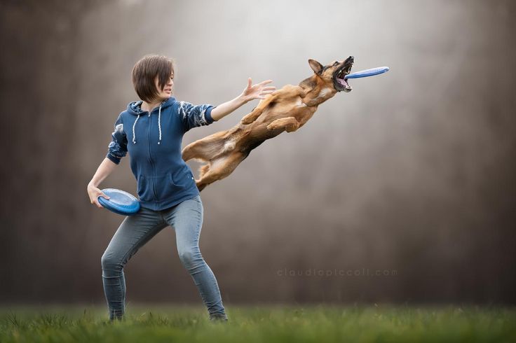 a young boy is playing frisbee with his dog