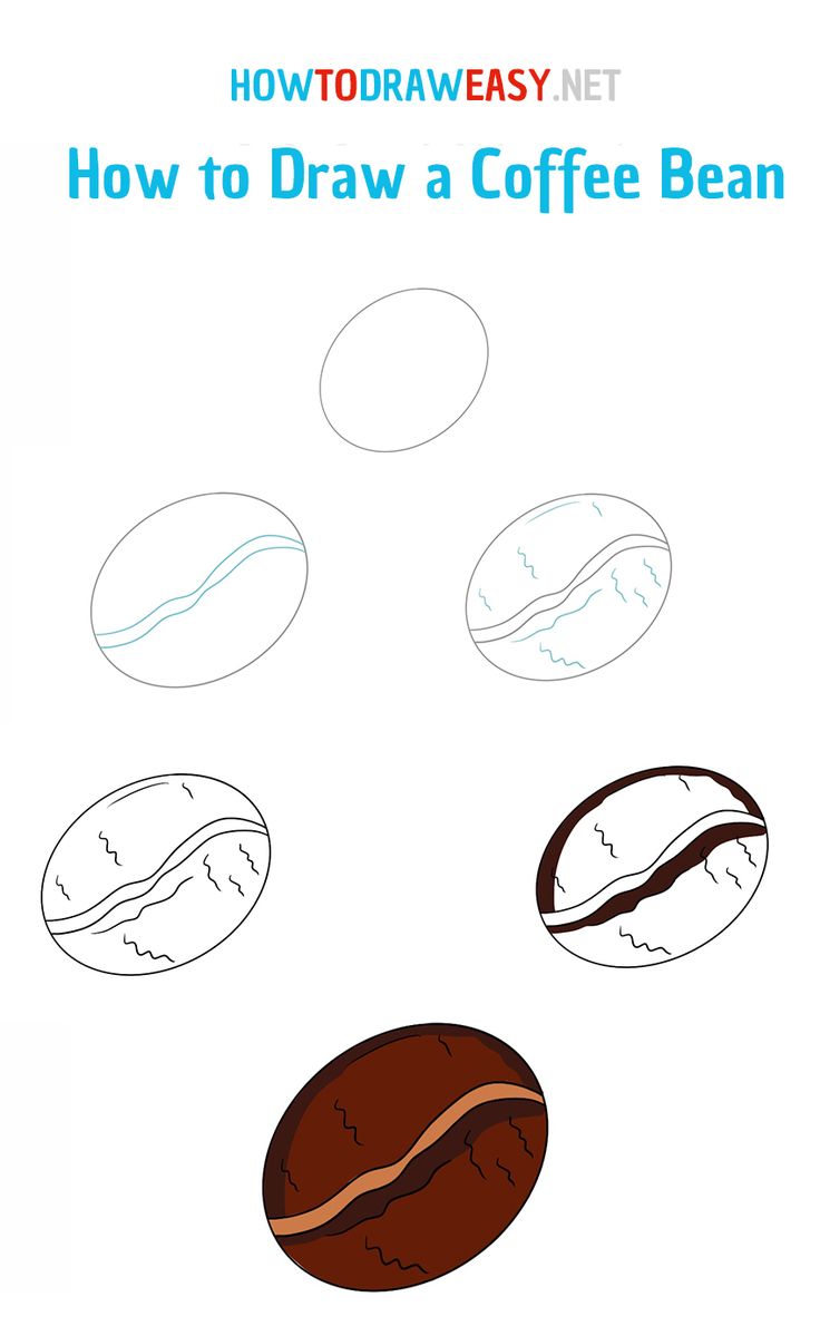 how to draw a coffee bean in three easy steps with pictures and instructions for beginners