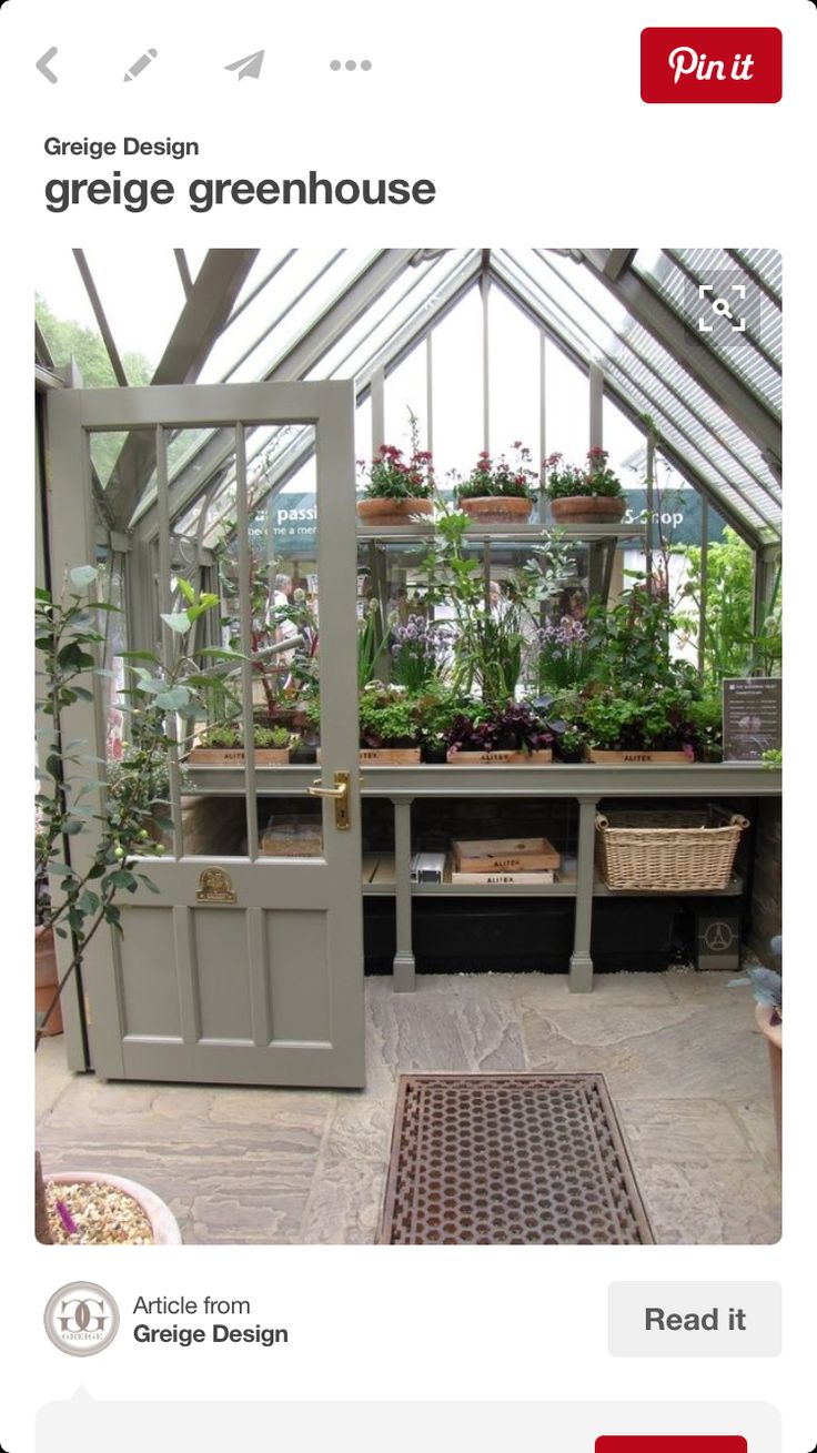 an image of a greenhouse with plants growing in the house and on the ground,