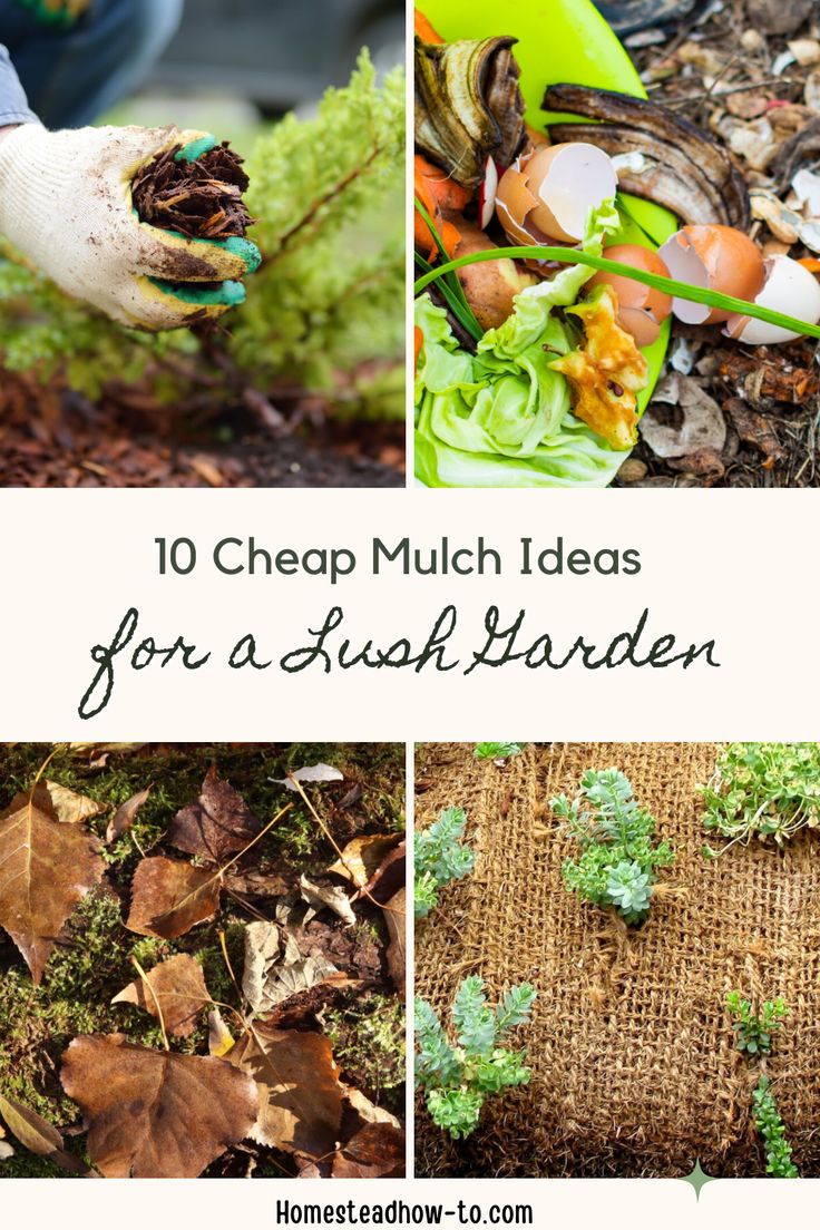 Mulching your vegetable garden is an important task that helps to protect your plants, conserve water, and fight off weeds. However, buying mulch from a garden store can quickly increase costs, especially if you have a big garden.