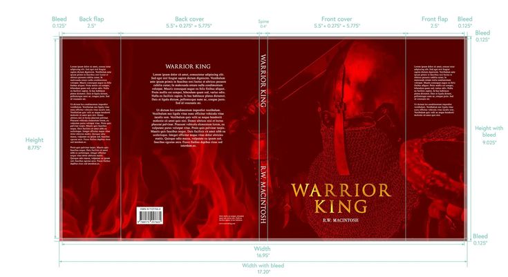 the front and back cover of warrior king