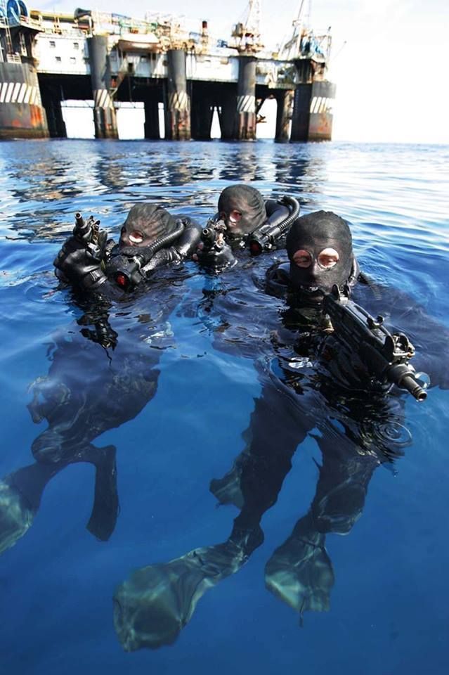 several scuba divers in the water with their equipment