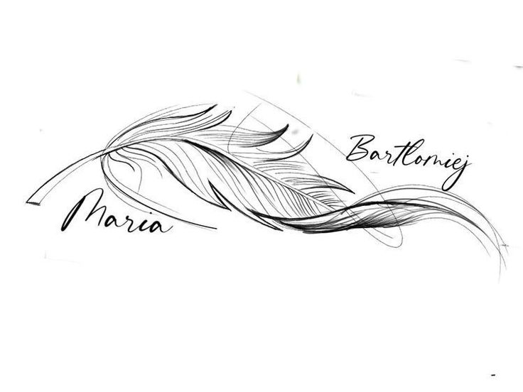 a black and white drawing of a bird's tail with the words bathanny in