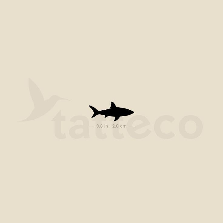 a black and white photo of a shark in the ocean with text that reads tattoeco