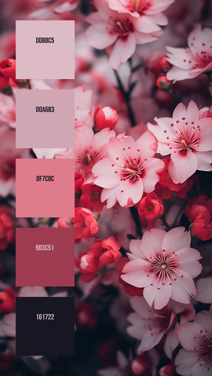 pink and red flowers are featured in the color palettes for this image, it looks like