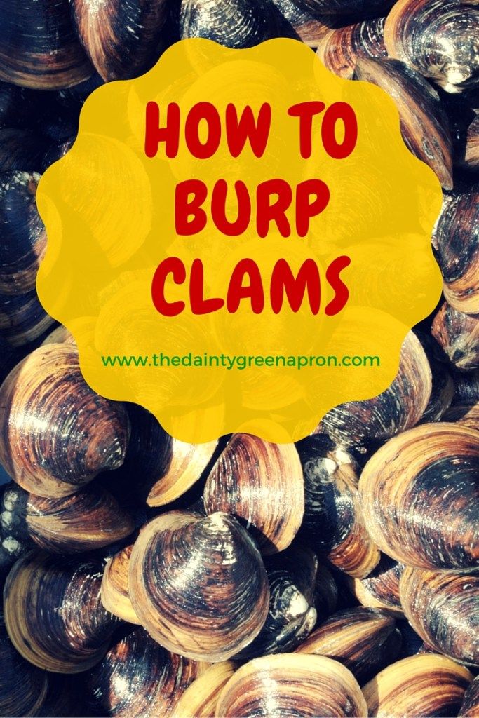 clams with the words how to burp clams in red and yellow over it