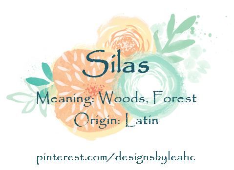 an orange and green flower with the words silas meaning woods, forest origin latin