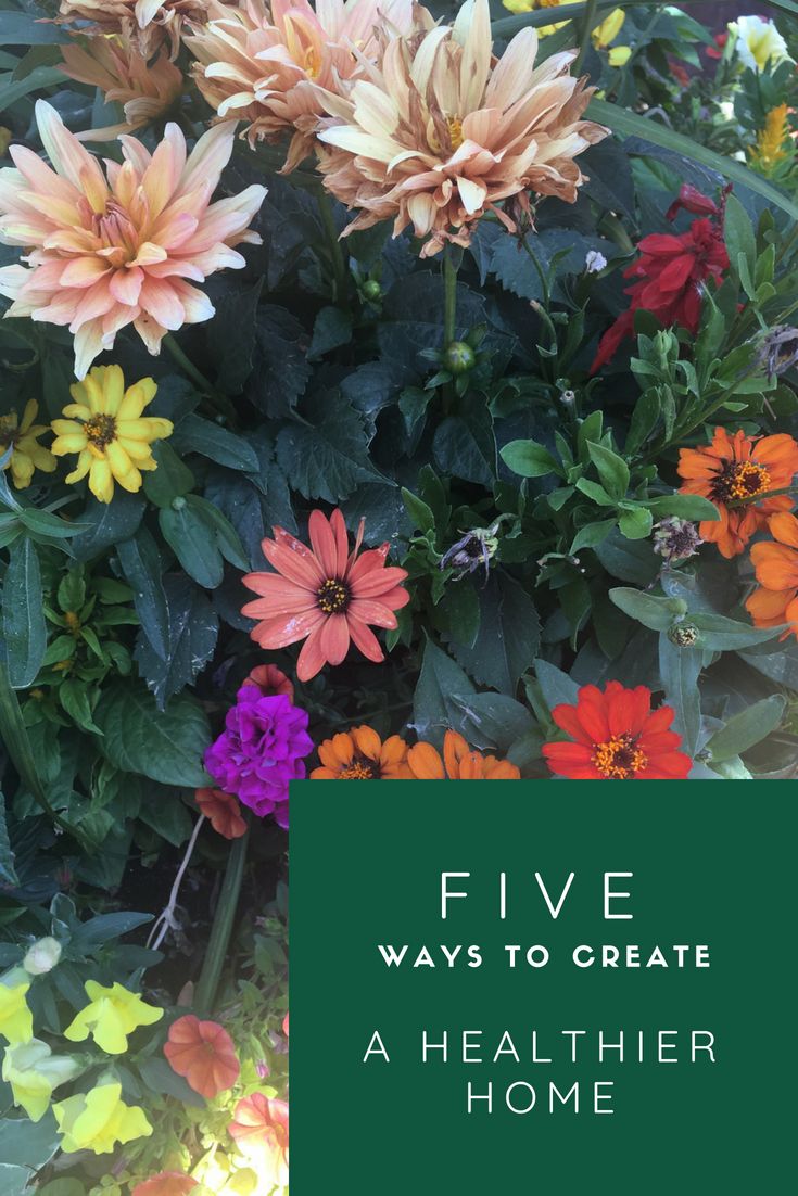 Five Ways to Create A Healthier Home Bars And Clubs, Medical Help, Healthy Families, Whittling, Longer Life, Healthy Habits, Chemicals, Something To Do, Healthy Lifestyle