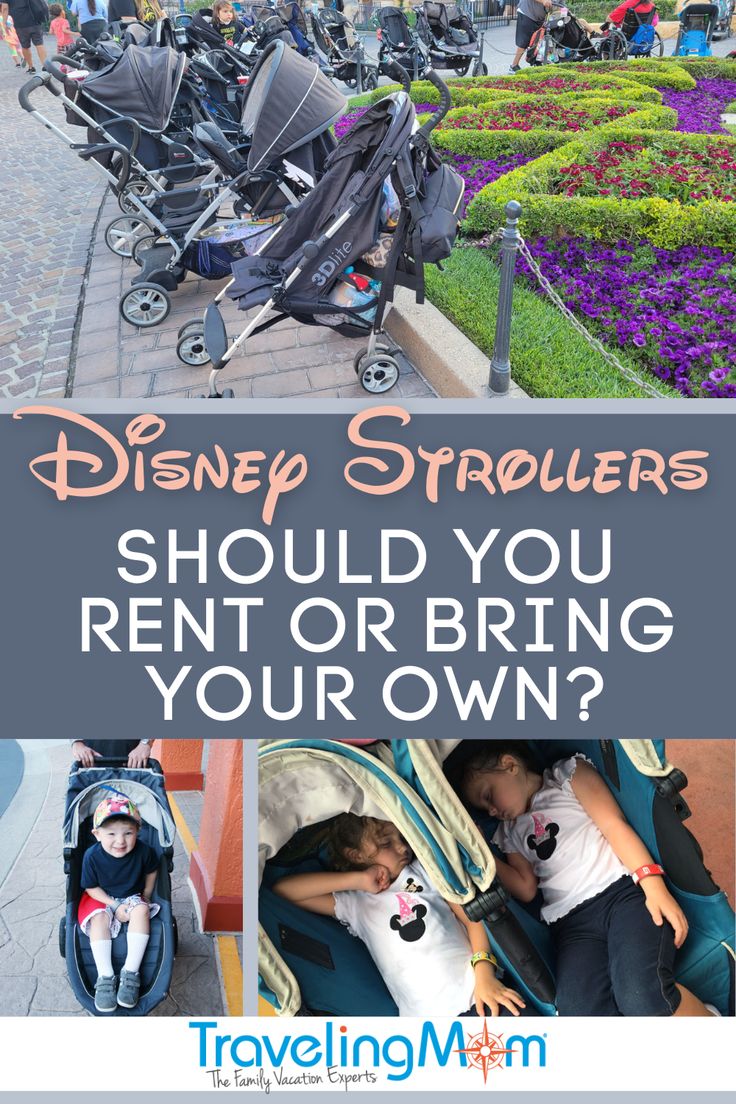 the disneyland strollers should you rent or bring your own?