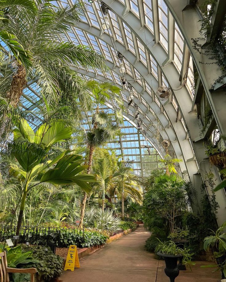 the inside of a large greenhouse with lots of trees and plants in it's walls