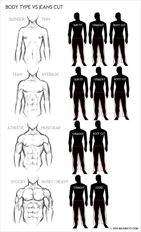 the body type chart shows different types of men's torsos and their corresponding muscles