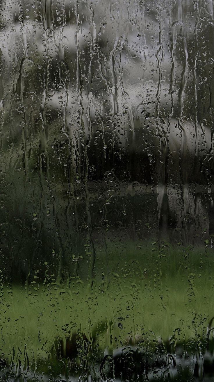 rain drops on the window and grass outside