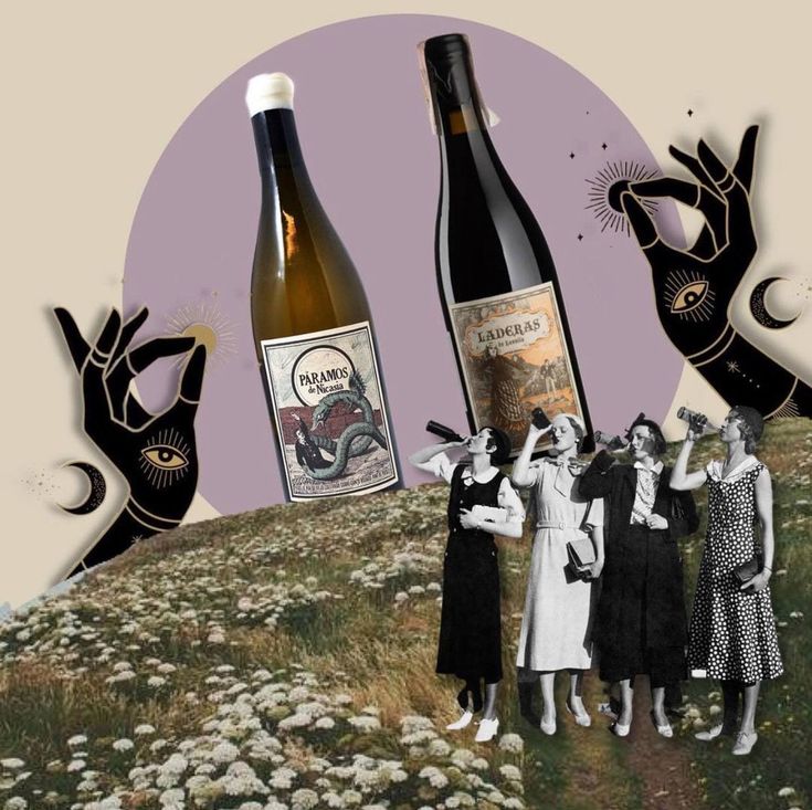 three women are standing on a hill with two bottles of wine in front of them