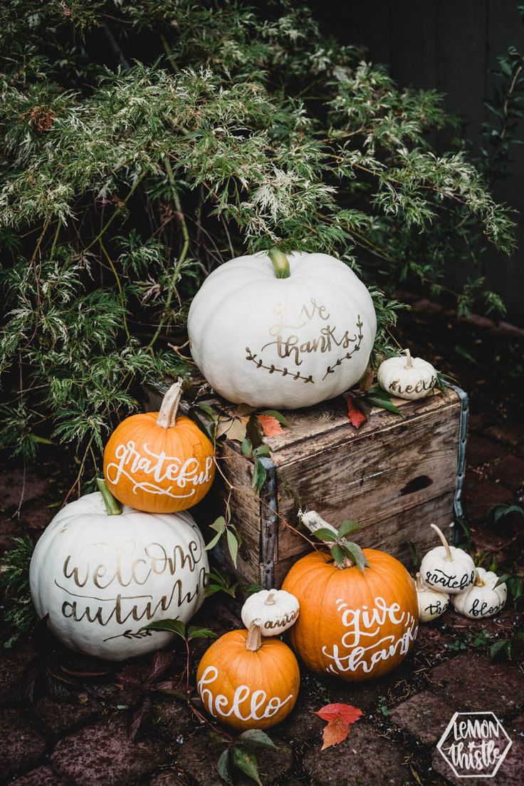 pumpkins with hand painted words on them