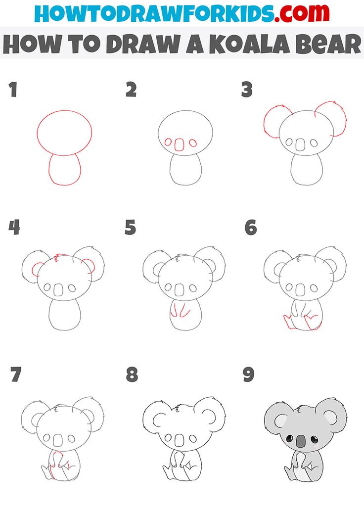 how to draw a koala bear step by step instructions for kids and beginners