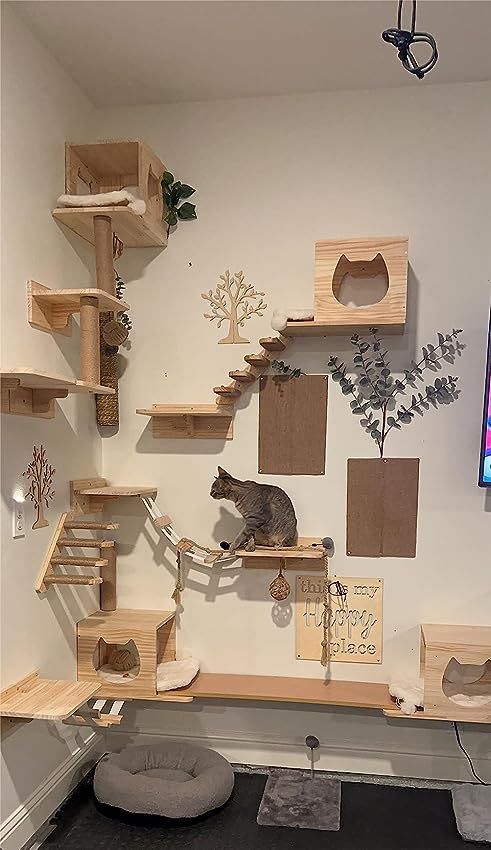 a cat sitting on top of a wooden shelf