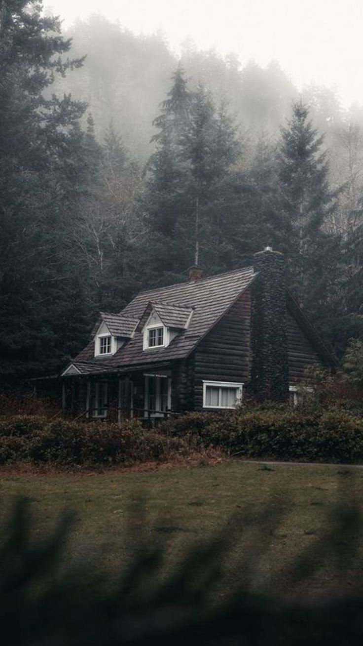 a house in the middle of some trees and bushes on a foggy, rainy day