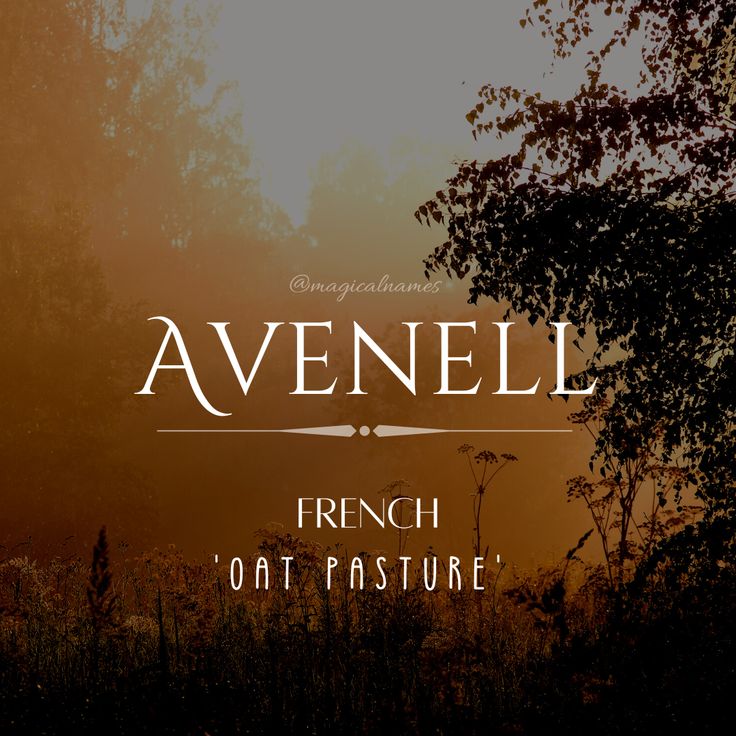 an image of the words avenuel in french and oat pasture at sunset with trees